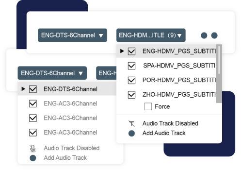 conserver pistes audio et sous-titres